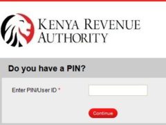 How To File Kra Returns
