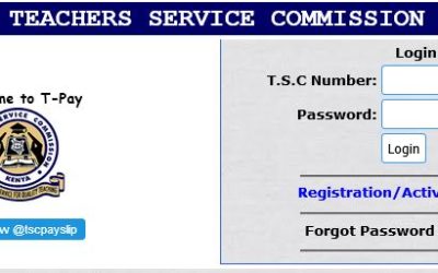 Tsc Payslip Online: A Guide To Registration, Login and Payslip Download .