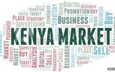 10 Best Business To Start With 20k In Kenya