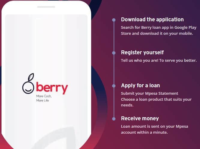 berry loan app paybill number
