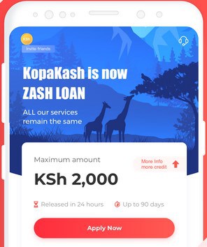 Zash Loan Website